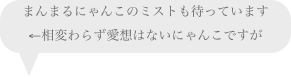 まんまるにゃんこのミストも待っています
←相変わらず愛想はないにゃんこですが